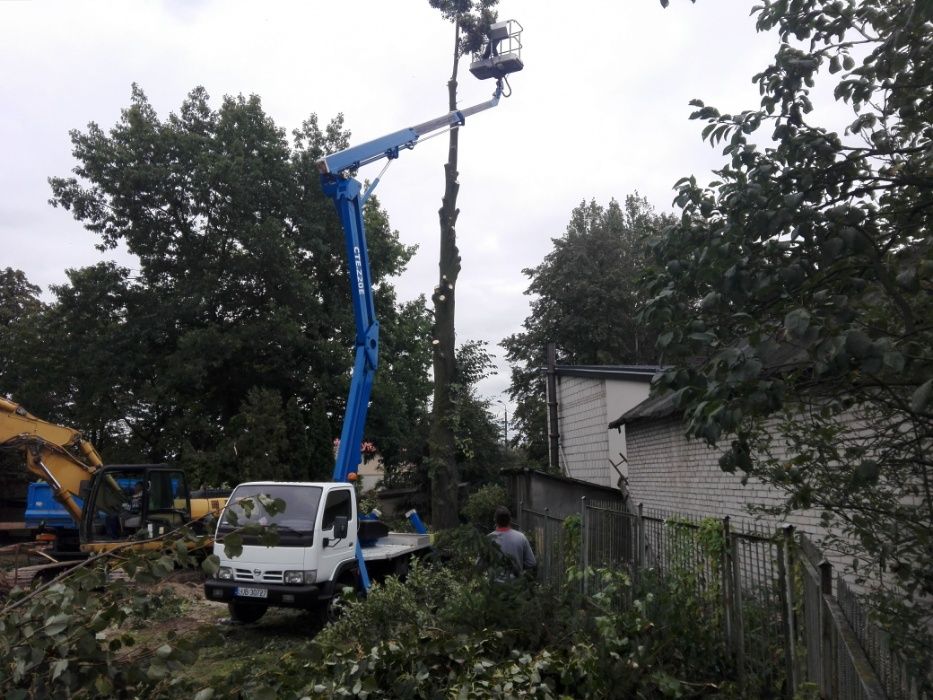 Rębak do gałęzi, wynajmę rębak, wynajem rębaka, zrębkowanie gałęzi