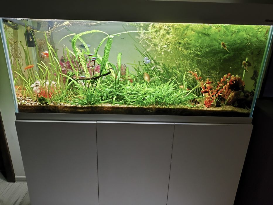 Akwarium 240l aquael