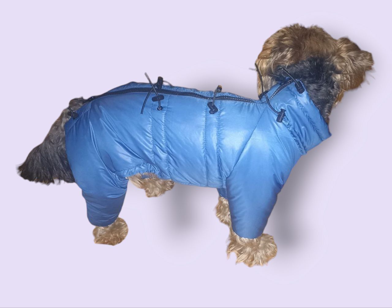 Продам одежду для собак (комбинезоны ,курточки,жилетки).Одежда для фра