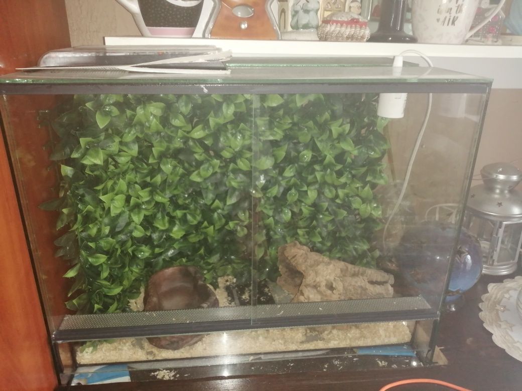 Zprzedam terrarium