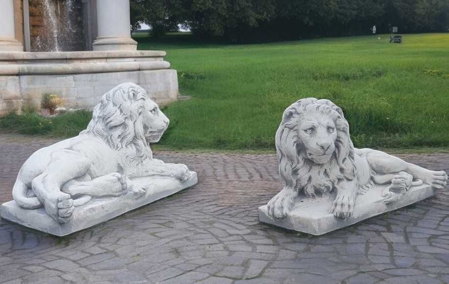Para lwów leżących Prawy -Lewy  podstawa 100x50cm.