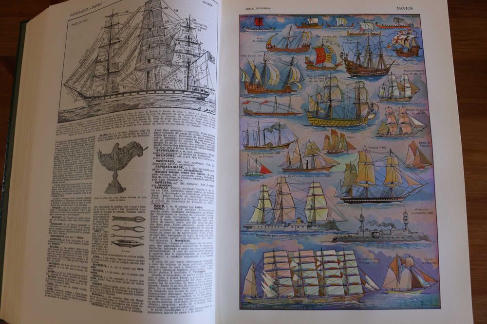 Dicionário ilustrado Lello Universal 2 volumes