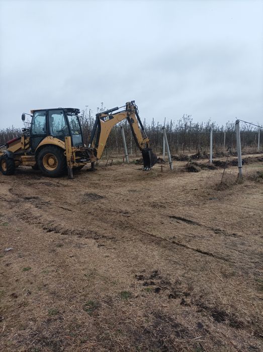 Корчевание деревьев