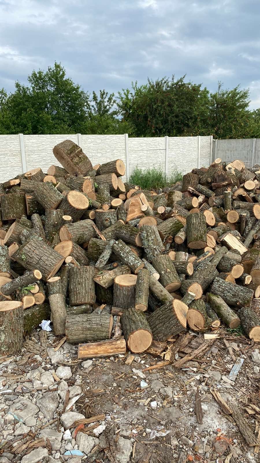 Продам дубовые колотые дрова с лесничества