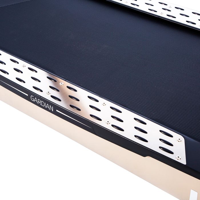 Bieżnia elektryczna inSPORTline Gardian G12