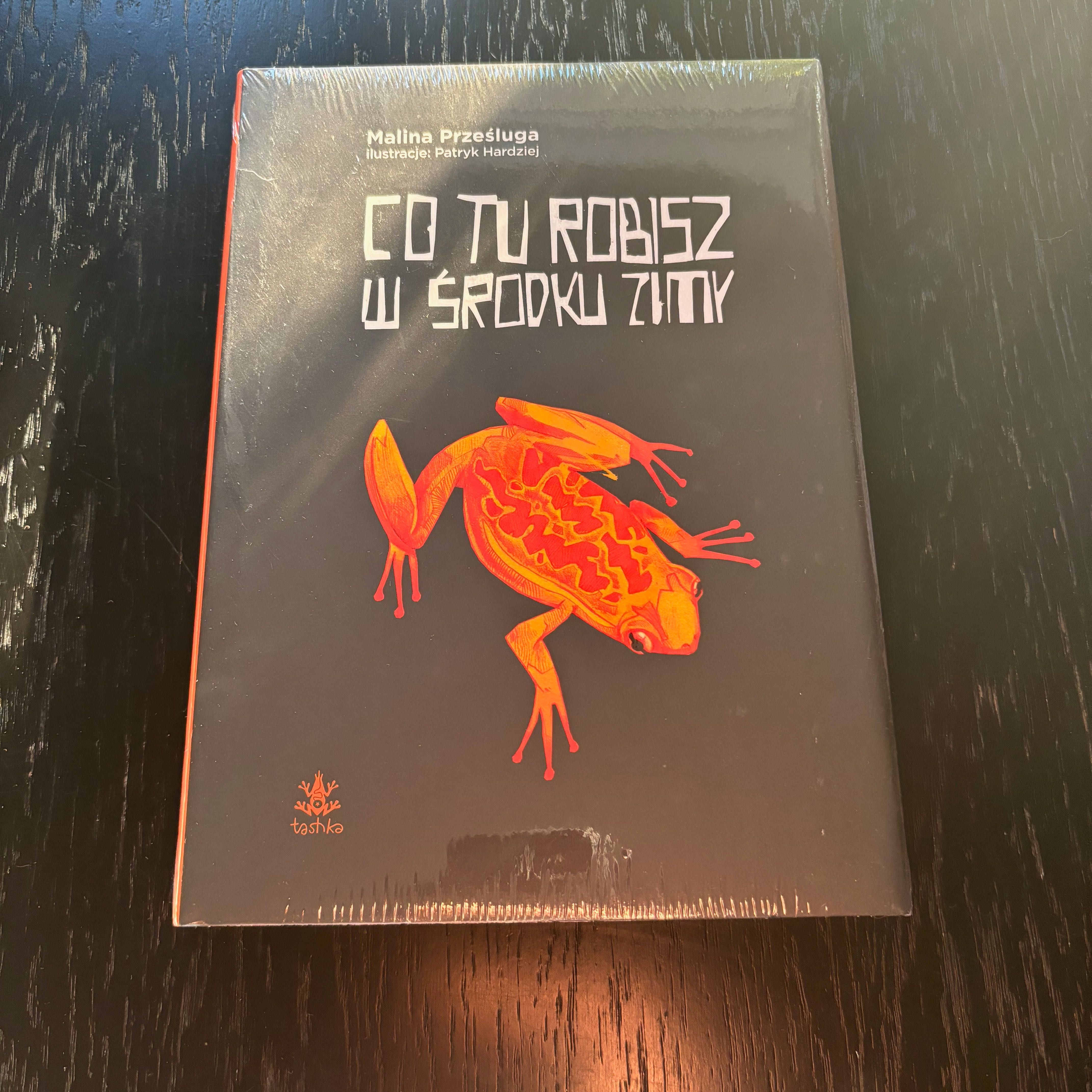 MALINA PRZEŚLUGA - Co tu robisz w środku zimy KOMIKS