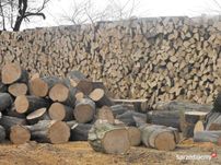 Дрова клен дуб сосна береза колоті дрова з доставкою Київська обл