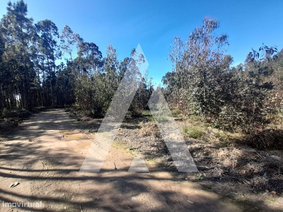 Terreno para construção em Vale Domingos, Águeda