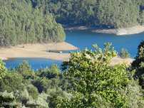 Terreno florestal, 1920m2, confina com a Barragem do Castelo de Bode,