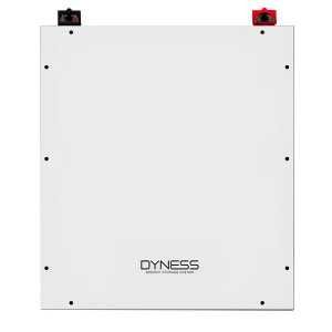 Акумулятор LiFePo4 Dyness DL5.0C 51.2В 48В 100А 5кВт + підігрів + WiFi