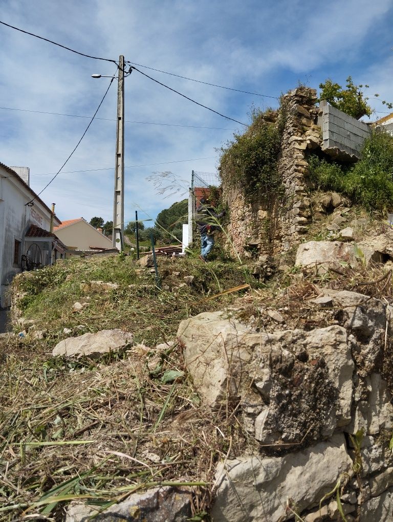 Limpeza de terrenos