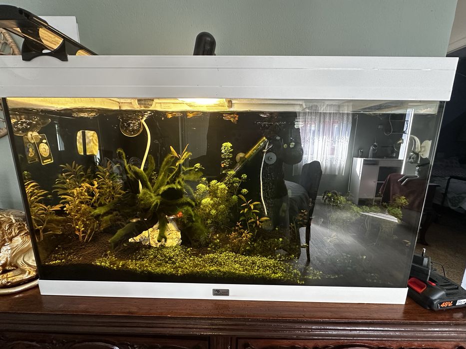 Aquario 125L Plantado