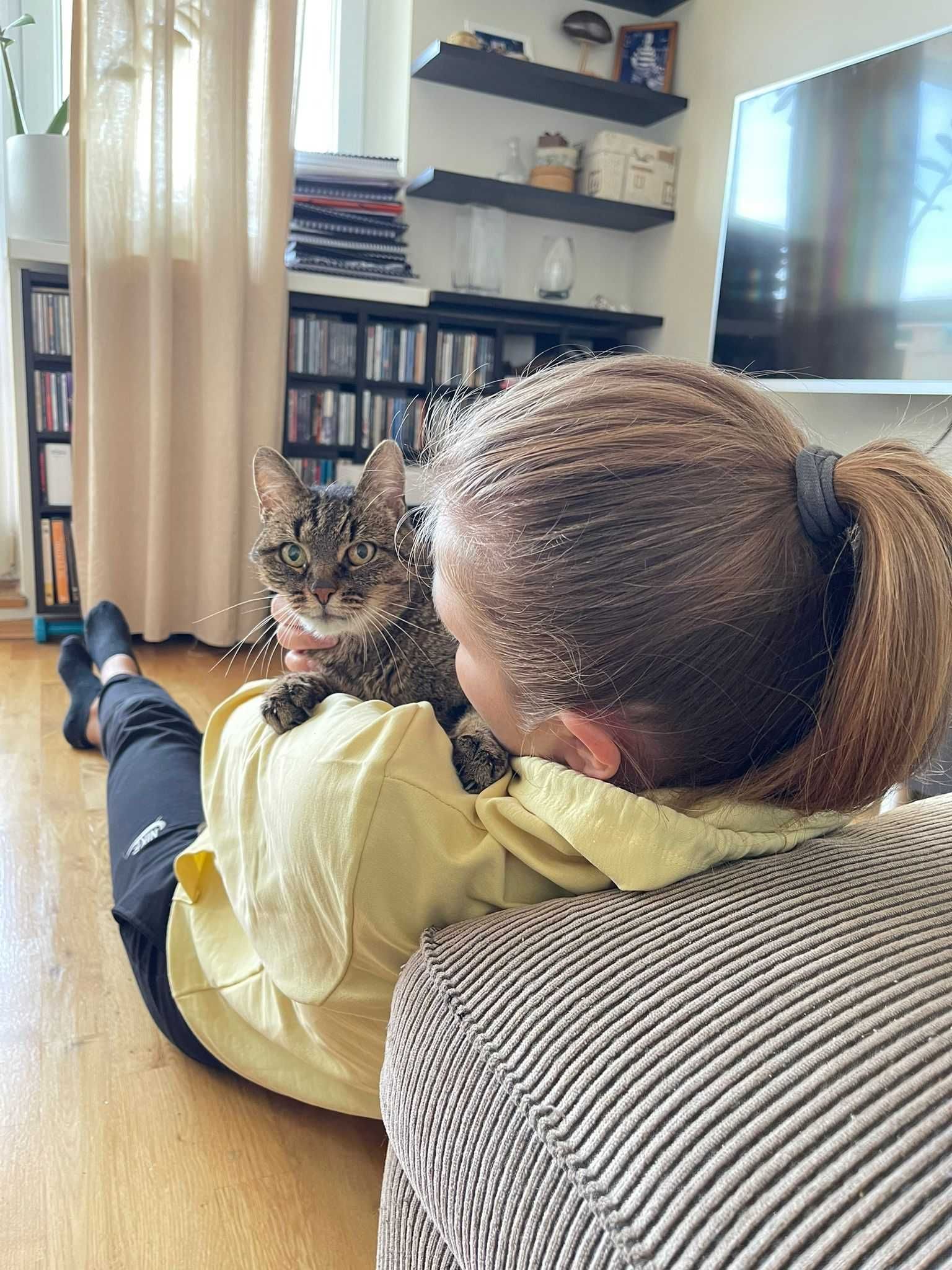 Opieka nad kotem / petsitter / catsitter