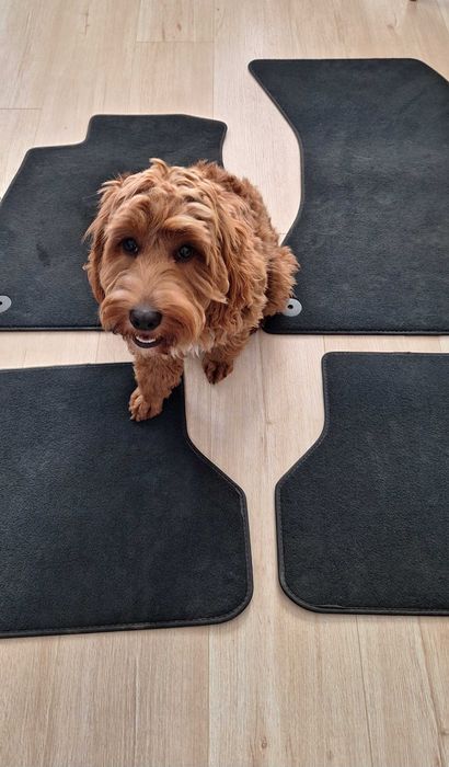 Dywaniki welurowe Audi A4 B9