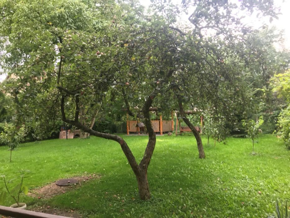 Підселення для 1 дівчини по вул. Конотопська (Чупринки, Коновальця)