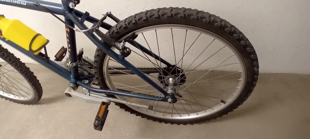 Bicicleta criança