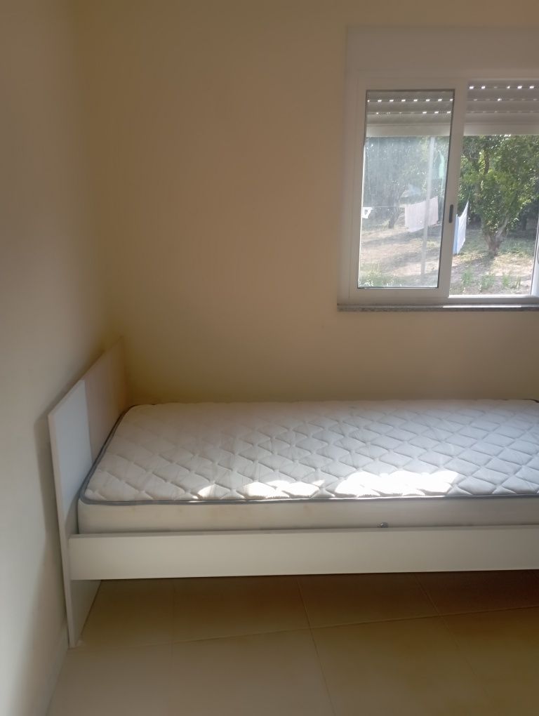 Aluguel de quarto em Ílhavo