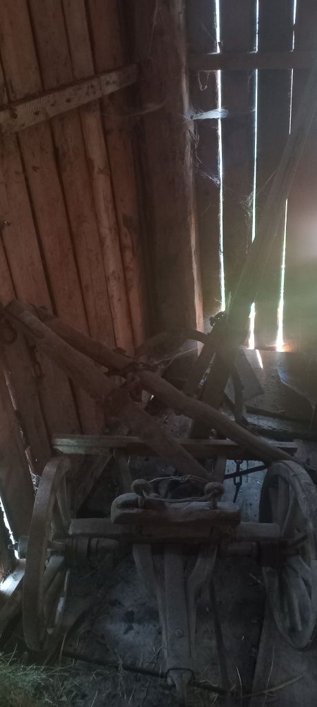 Плуг до коня ворожому стані