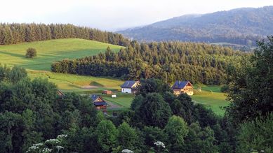 Domki Bieszczady 