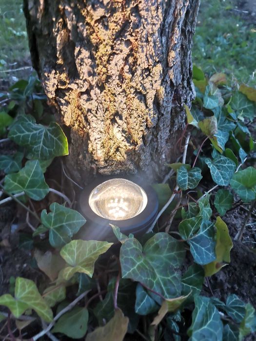 Paulmann lampa Podwodna do oczka ogrodu 12v /240