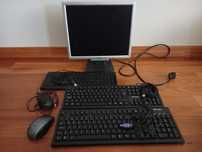 Conj. Monitor, teclados e ratos