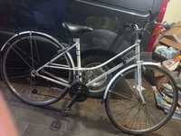 Bicicleta Janete