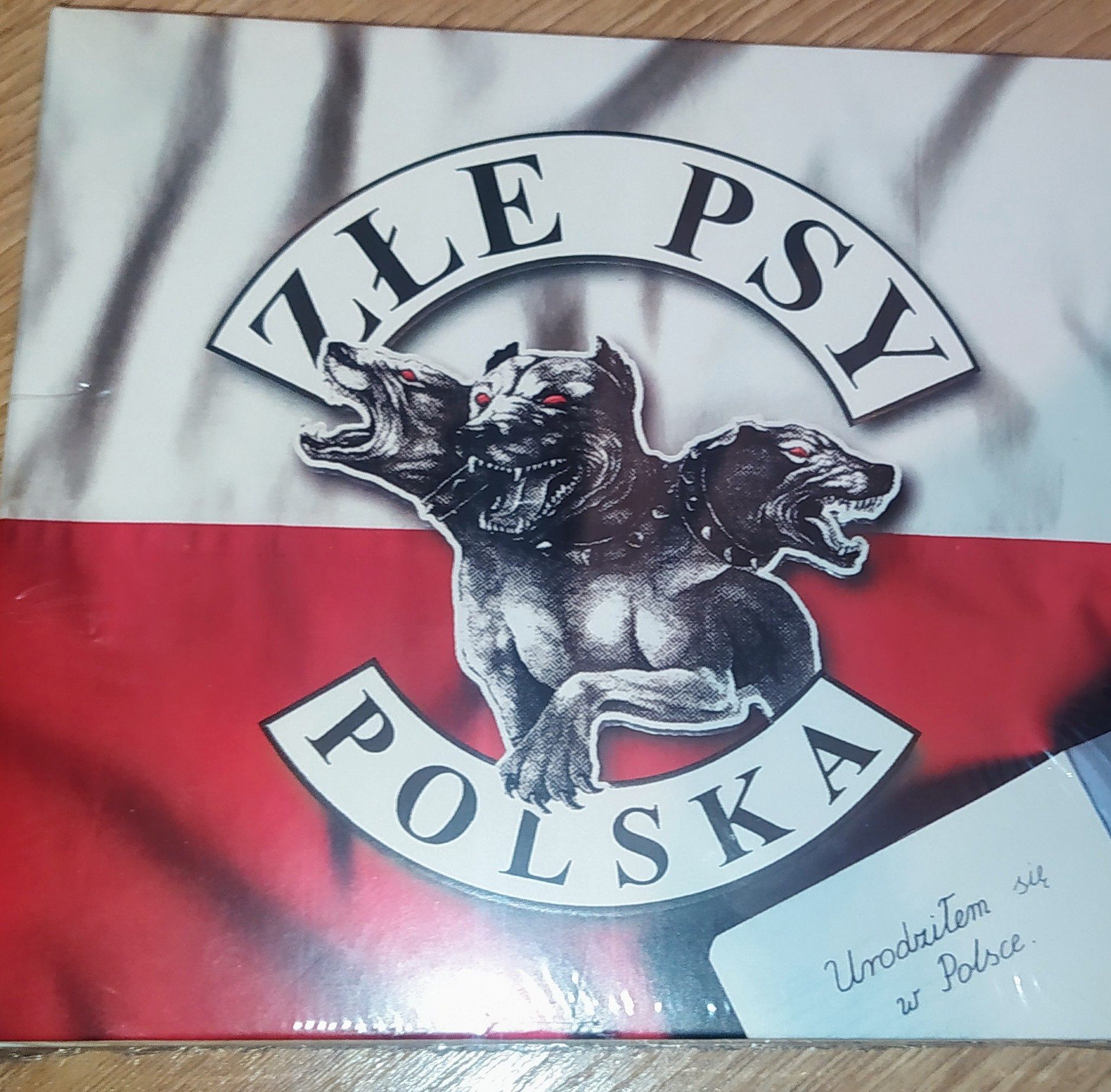 Złe psy Polska TSA Andrzej Nowak