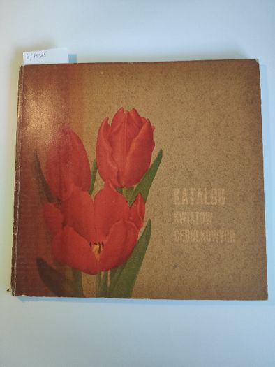 Katalog kwiatów cebulkowych