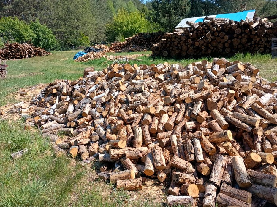 sprzedam drewno opałowe