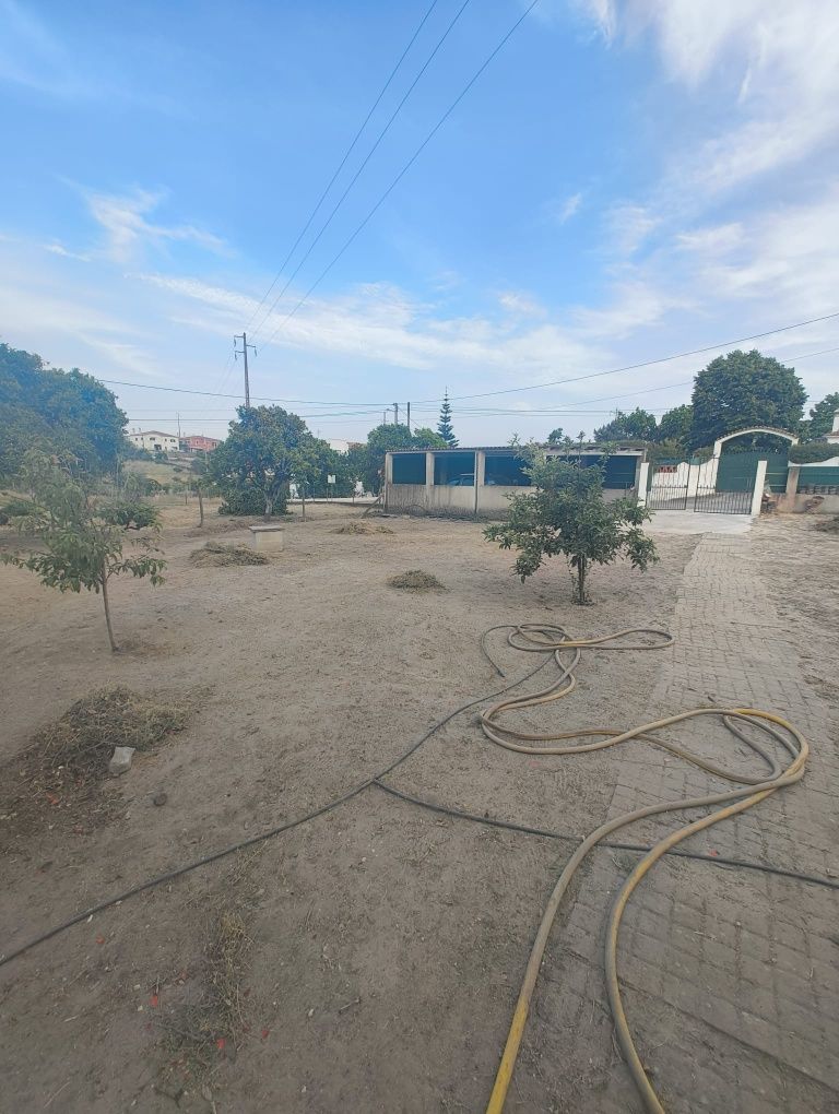 Faco manutenção de jardins, desmatação,podas e abates de árvores.obr