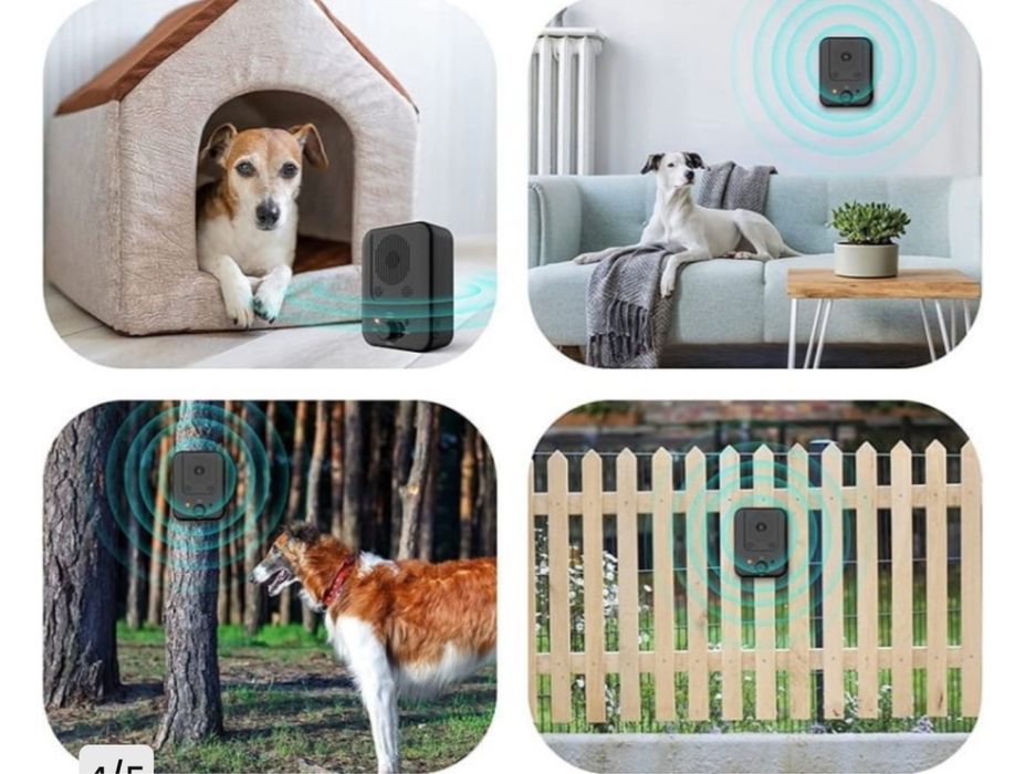 Bezprzewodowa ultradzwiekowa sracja dla psa