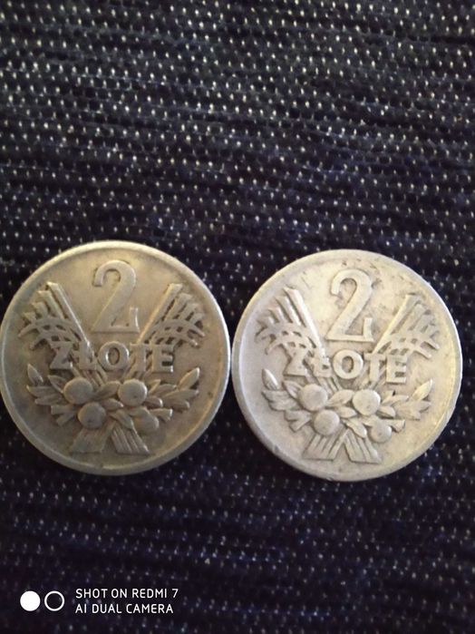 Monety 2 zł Jagody