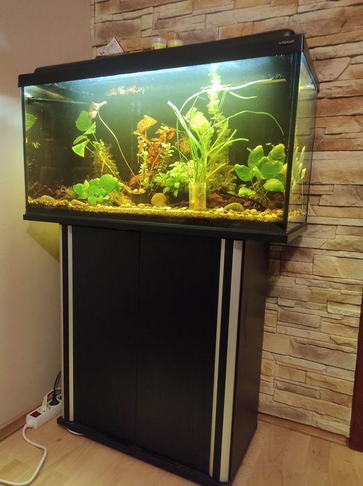 Akwarium 112l z szafka zestaw