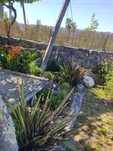Construção, reabilitação e manutenção de jardins