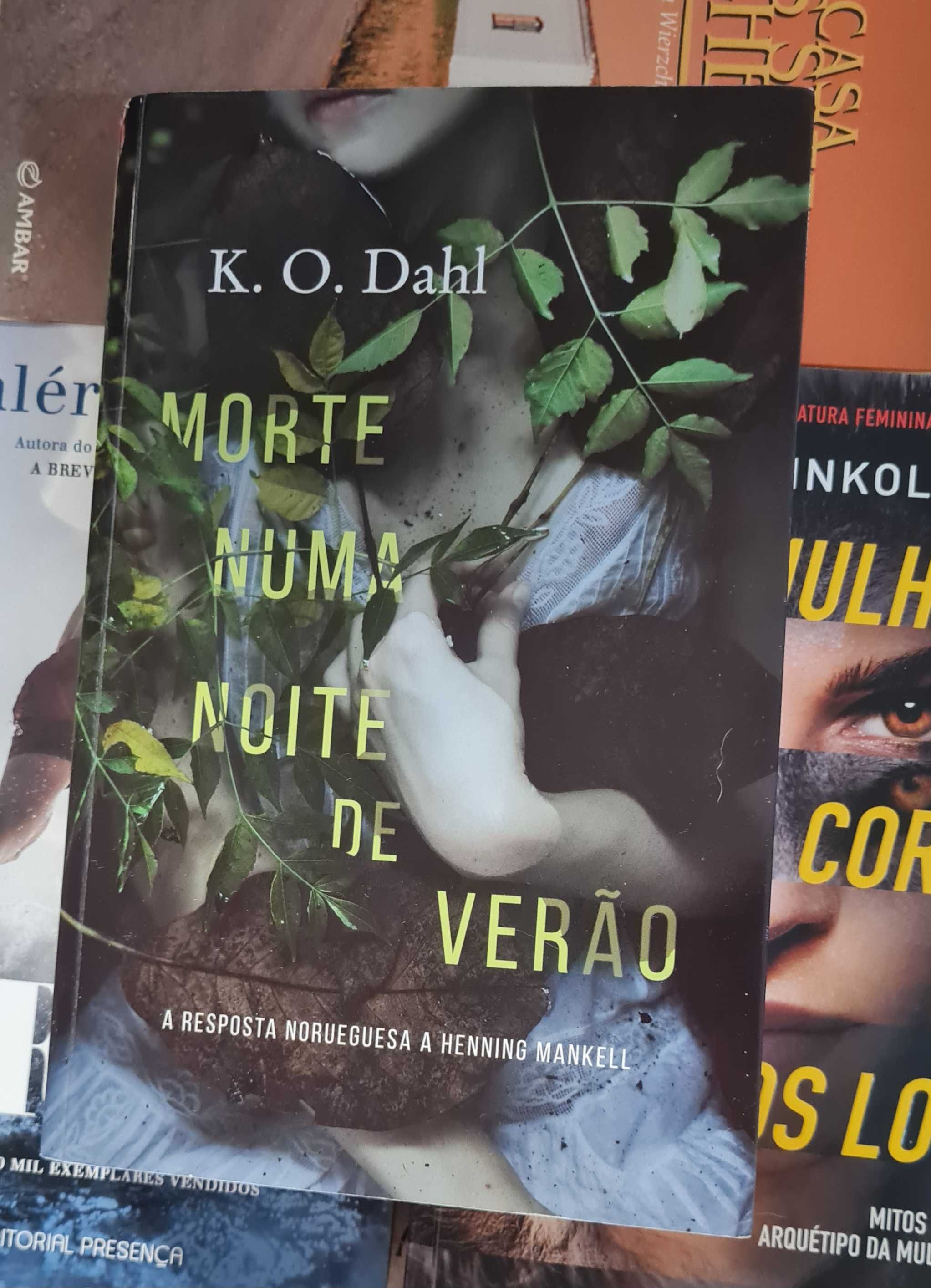 Morte Numa Noite de Verão de K. O. Dahl