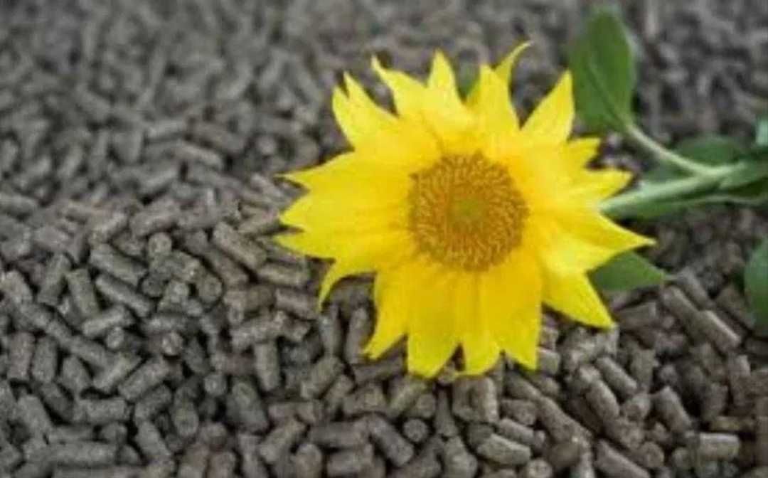 Pellet, zamiennik Ekogroszku
