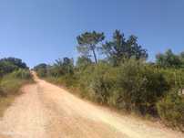 Terreno  para venda
