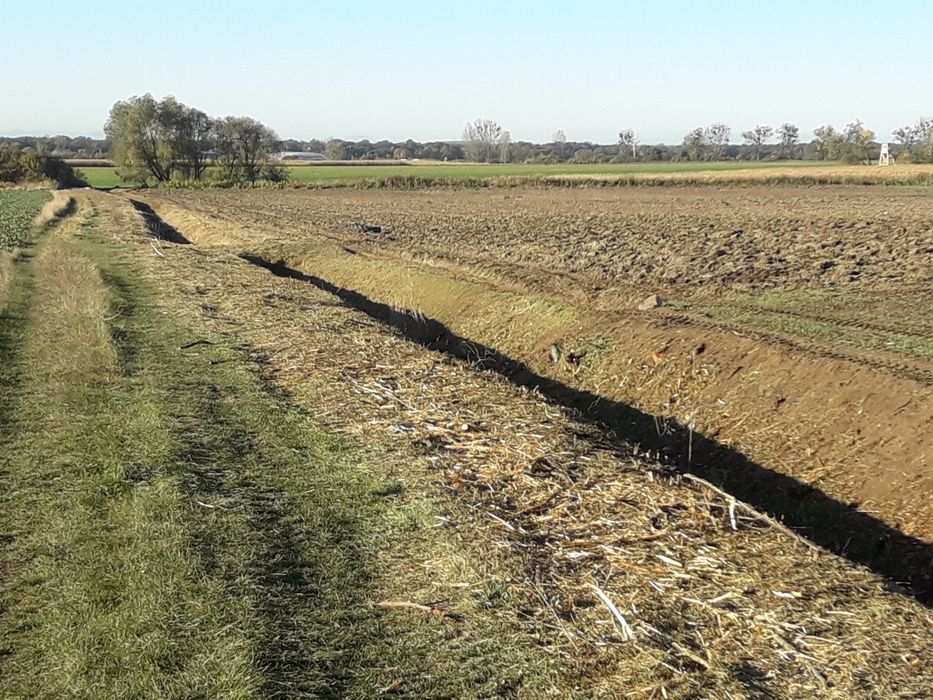 Koszenie rowów,łąk,wałów,Odśnieżanie