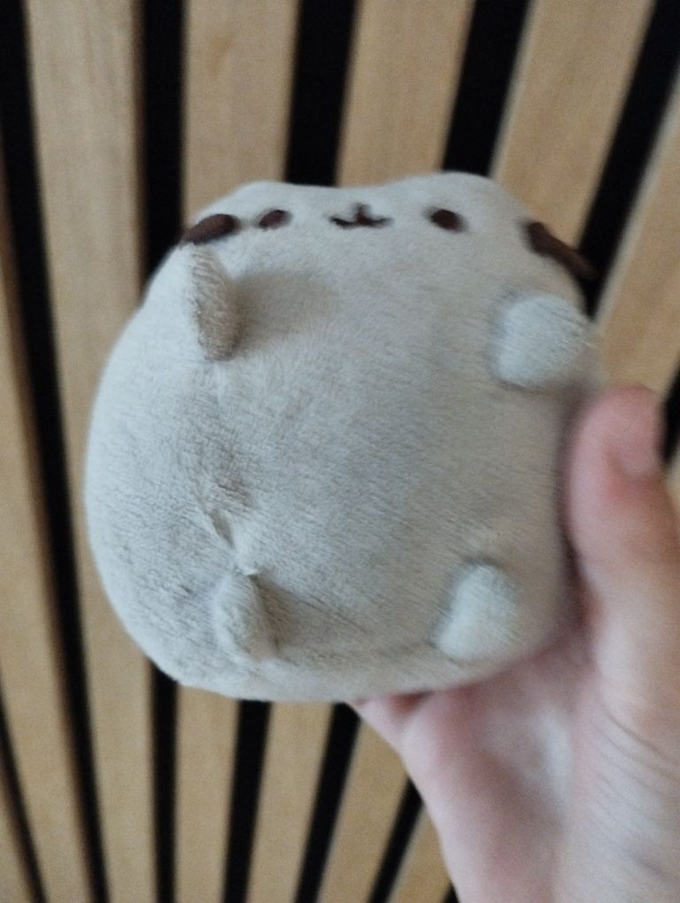 Super pluszak pusheen