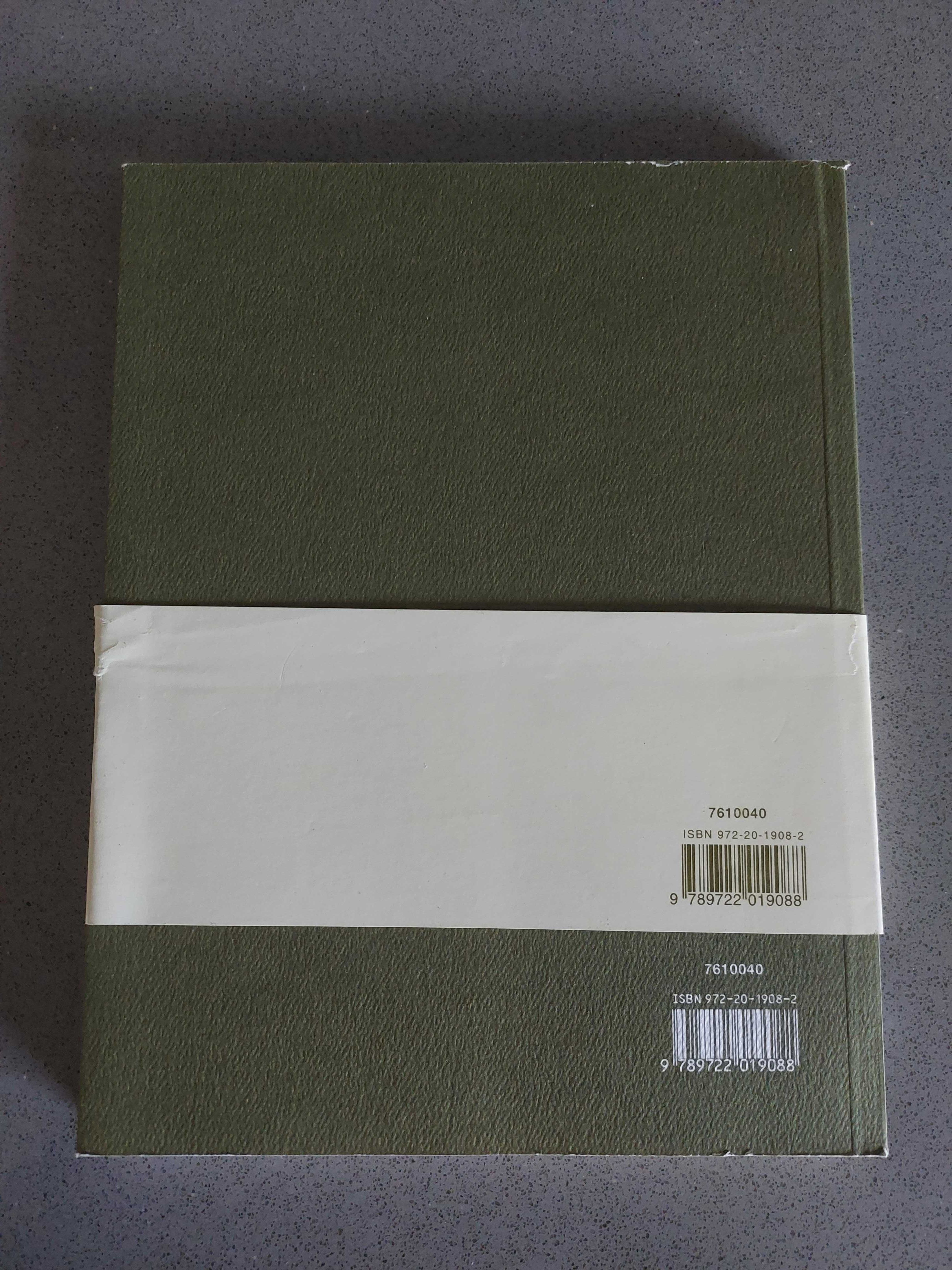 Livro do Português Errante - Manuel Alegre (PORTES GRATIS)