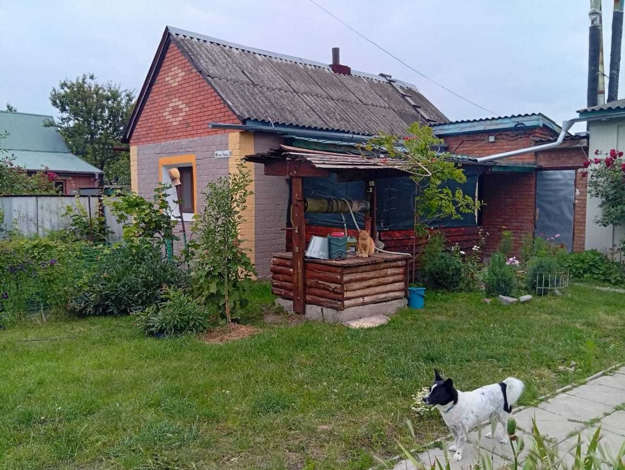 Жилье посуточно , сдам домик.