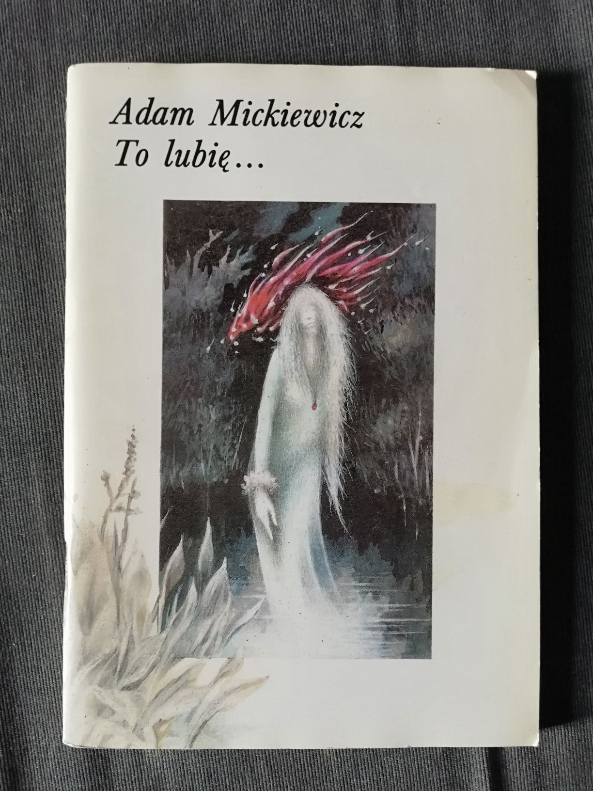 To lubię... - Adam Mickiewicz