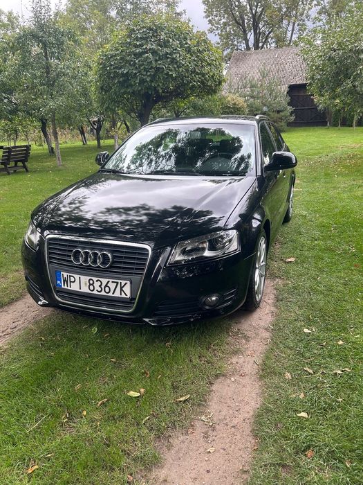 Audi A3 Audi A3 2.0TDI