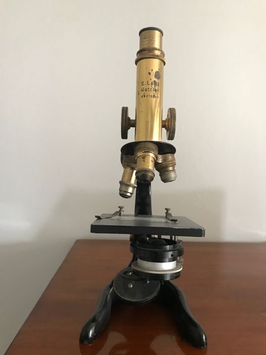 Mikroskop Ernst LEITZ WETZLAR