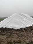 Producent  NaturSorte Płachta na buraki 110g/m² (12,65m x 25m)