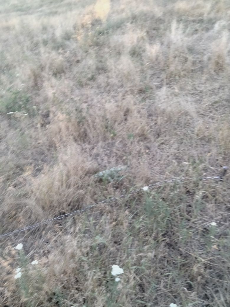 Красивый участок Вольное