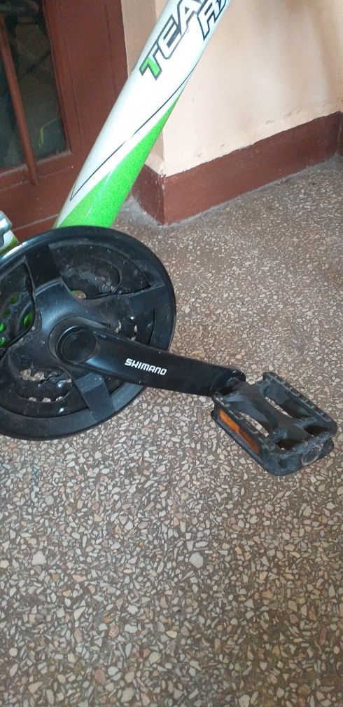 Rower TeamRaider