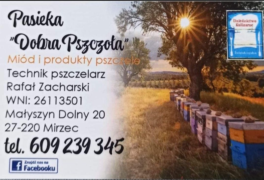 Pyłek pszczeli naturalny bomba witaminowa tegoroczny