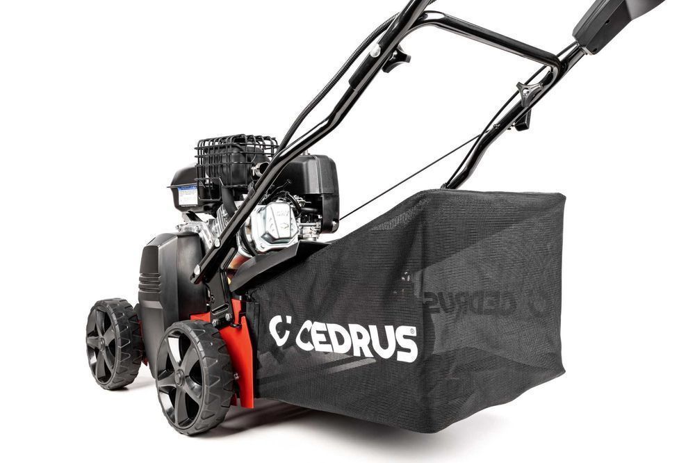 Wertykulator CEDRUS WR01-B Briggs&Stratton 5,5KM + 2 wałki