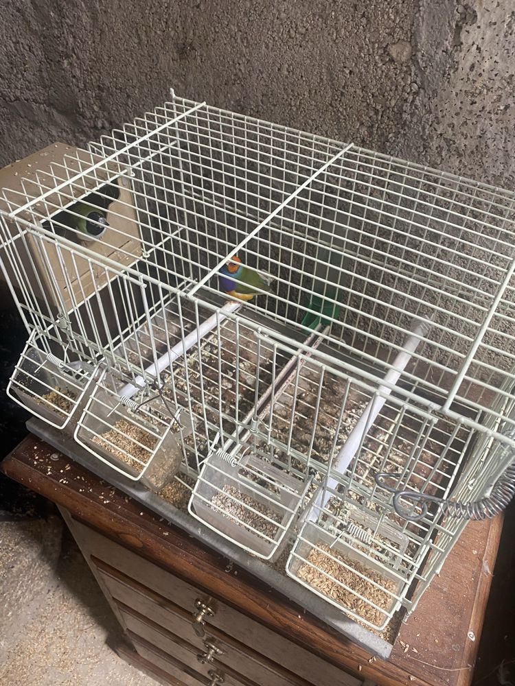 Vendo gaiolas e acessorios